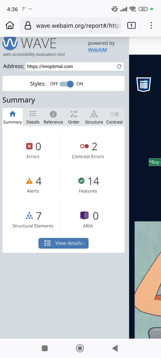 Image 3.3 (Small business website accessibility tutorial)