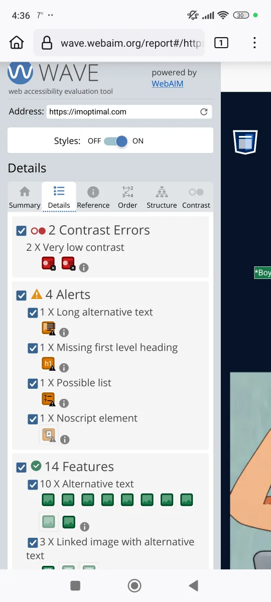 Image 3.4 (Small business website accessibility tutorial)