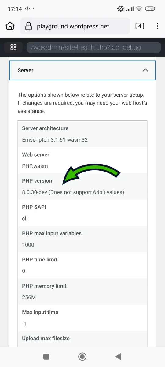 Image 1.3 (Small business website speed tutorial)