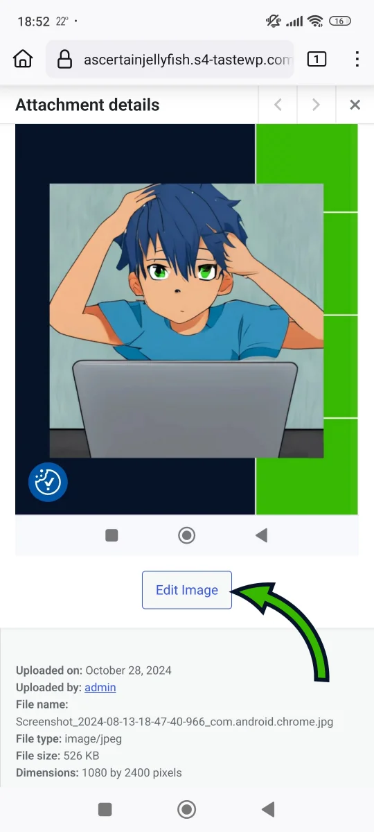 Image 4.2 (Small business website speed tutorial)