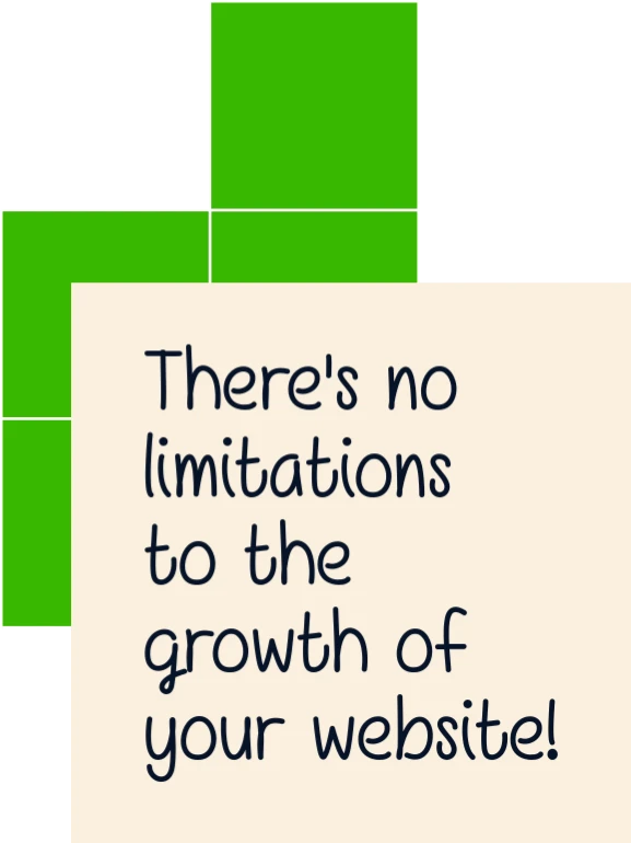 There's no limitations to the growth of your website! (Small business website expert quote)